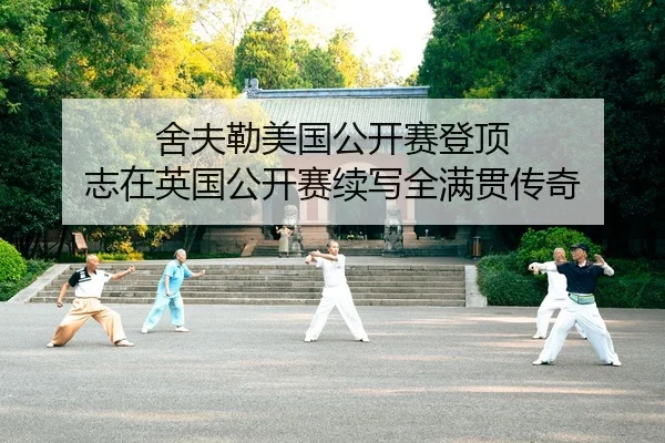 she-fu-lei-mei-guo-gong-kai-sai-deng-ding-zhi-zai-ying-guo-gong-kai-sai-xu-xie-quan-man-guan-chuan-qi-2-122.jpg