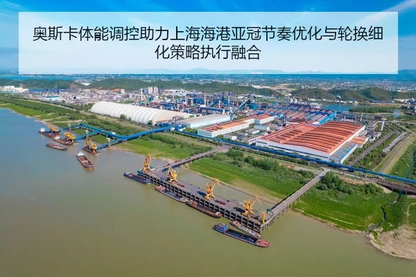 ao-si-ka-ti-neng-tiao-kong-zhu-li-shang-hai-hai-gang-ya-guan-jie-zou-you-hua-yu-lun-huan-xi-hua-ce-lve-zhi-xing-rong-he-2-168.jpg